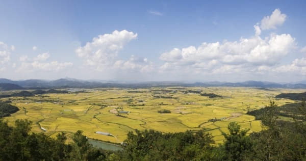 철원평야 전경