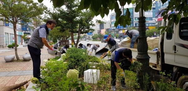 군산산림조합 나무 심기 동참