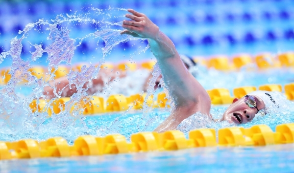 /사진=연합뉴스