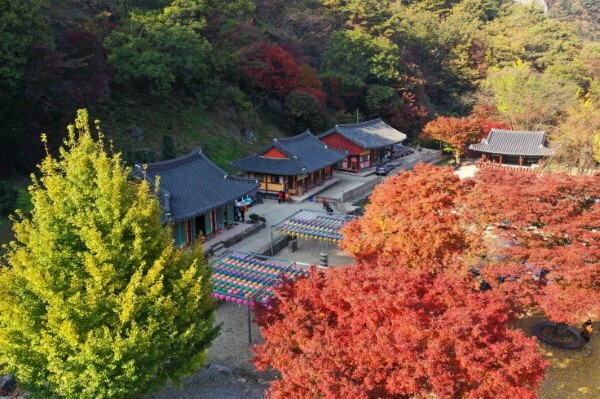 강천사 가을전경