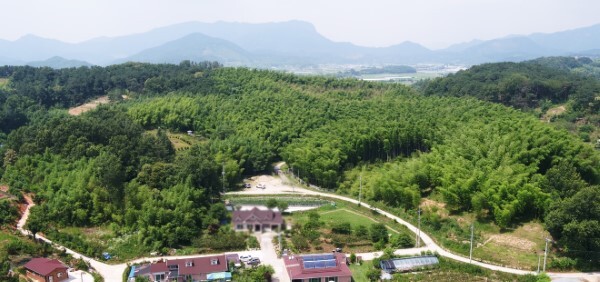 대나무를 테마로 한 명품정원 ‘죽녹원’. 담양을 대표하는 관광자원으로 해마다 수십만명이 찾는다. <광주일보 자료사진>