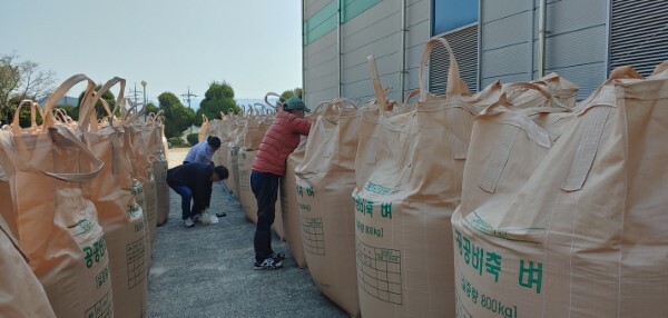 지난 2019년 공공비축미곡 건조벼 등급 검사를 실시하고 있는 모습 /사진=남원시 제공