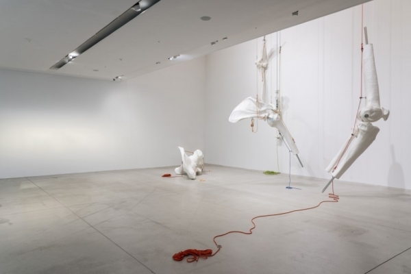 이형구 '키암코이섹 Kiamkoysek (2018)' /사진=북서울미술관