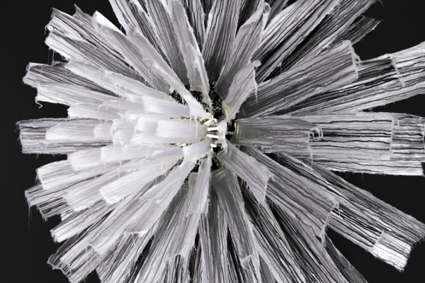 최우람 '하나 One (Replay to Dr. Lee) (2020)'