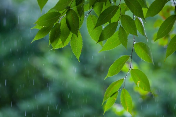 이미지=클립아트코리아