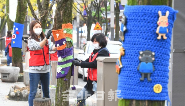 전주시자원봉사센터는 18일 전주 한옥마을 태조로에서 '2020 나무야 안아줄께 트리허그' 행사를 열고 겨울철 나무 동사와 병충해 예방을 위해 재능봉사자들이 손수 뜨개질로 만든 형형색색 겨울옷을 나무에 입히고 있다. /오세림 기자