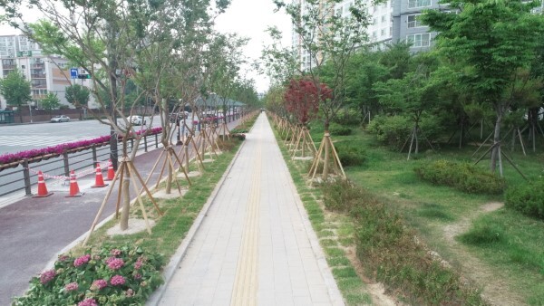 어양동 명품가로숲길