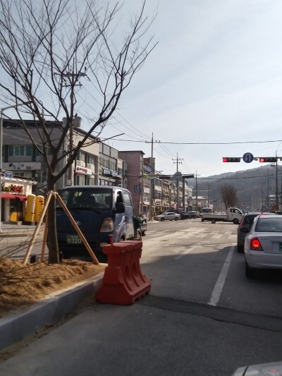 남원 시청로 화단형 중앙분리대 정비 공사로 인해 차로가 좁아져 있다. /김영호 기자