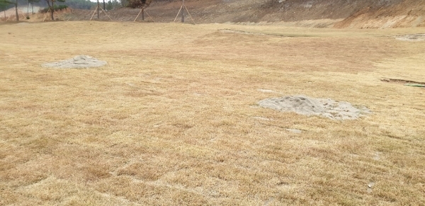 페어웨이 중간에 흙이 쌓여있는 등 잔디관리도 엉망이다.