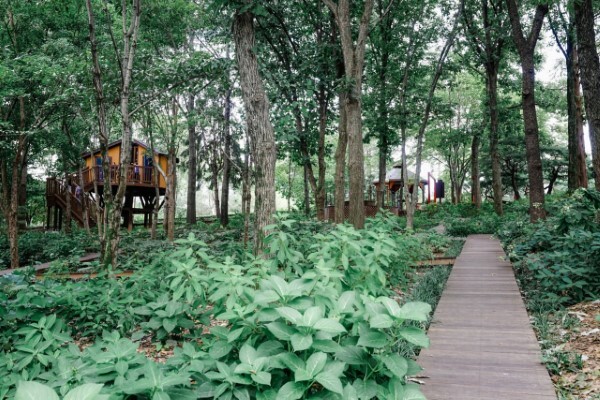 전주수목원 숲길