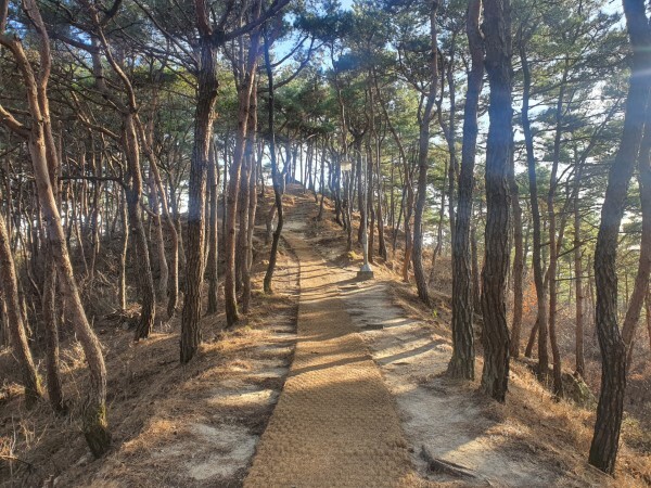 덕음산 등산로