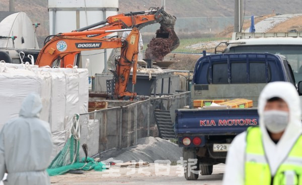 11일 정읍의 한 육용오리농장에서 조류인플루엔자(AI) 항원이 검출돼 방역당국 관계자들이 살처분을 하고 있다. /조현욱 기자