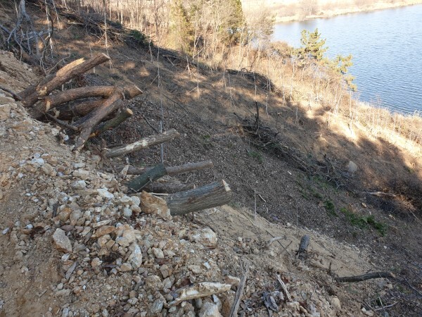 익산시 웅포면 대붕암리 123번지 일원. 금강변을 바라보고 있는 산자락에 벌채된 후 남은 나무 밑동이 곳곳에 튀어나와 있고, 잔가지 더미들이 흉물스럽게 방치되다시피 쌓여 있다.