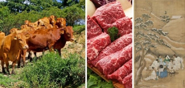 (왼) 장수한우 (사진=장수군 제공) / 기메박물관 소장된 김홍도 그림 모사작품 (민속박물관 소장)