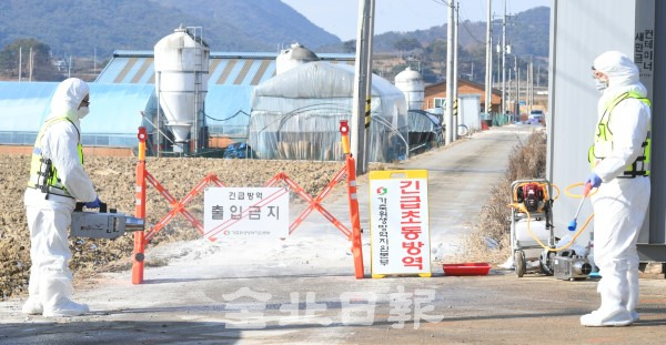 고창의 한 오리농장에서 출하된 오리에서 17일 조류인플루엔자 항원이 검출돼해당 농장 반경 10Km내 이동을 통재하고 차량 등에 대한 출입을 통제하며 주변을 소독하고 있다. /오세림 기자