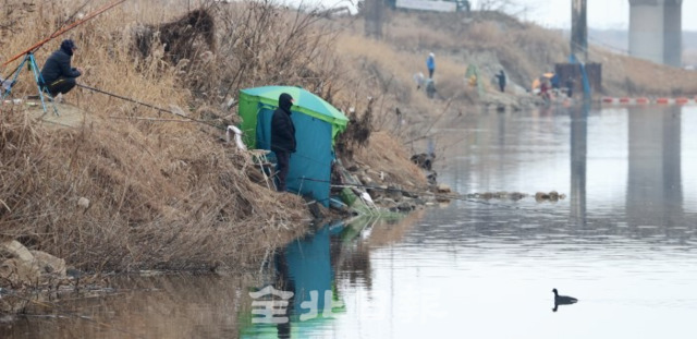 전국적으로 조류인플루엔자(AI)가 확산중인 26일 AI 고위험 지역으로 분류된 만경강 일대에서 시민들이 낚시를 하고 있어 AI 확산이 우려되고 있다. /조현욱 기자