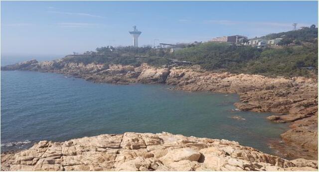 비응항 군부대 부지 전경