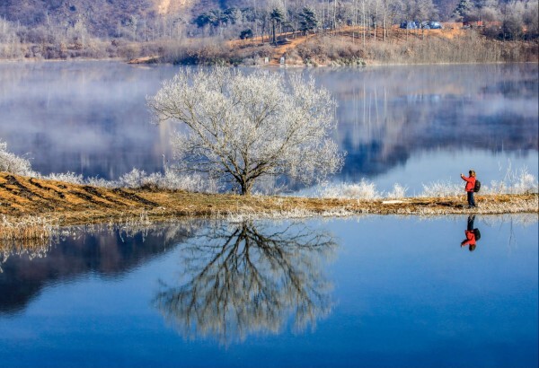 옥정호의 상고대 /사진=임실군
