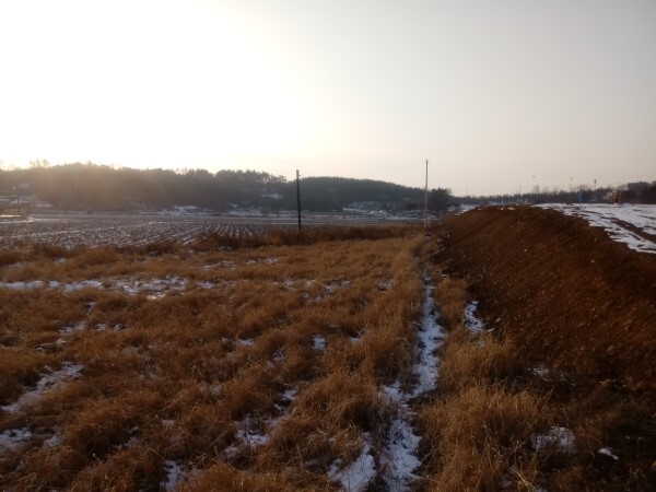 군산 동산중학교가 이전 건립될 지곡동 일대