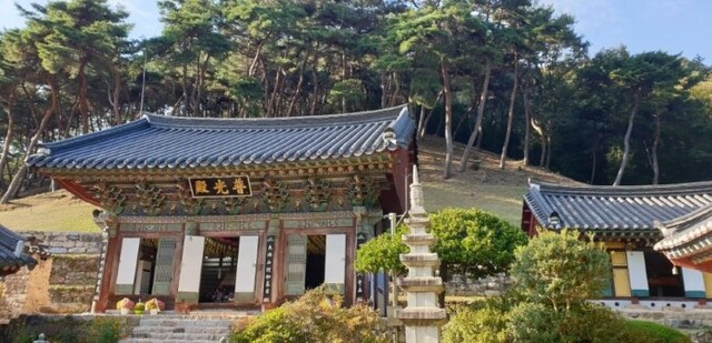 숭림사 소나무 숲 전경