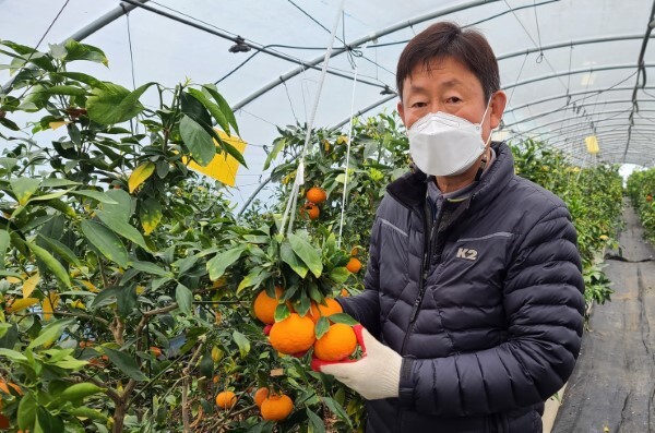 송산동 허철원 씨 농가