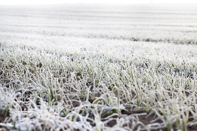 사진=클립아트코리아