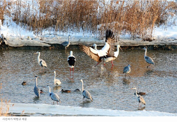 사진=박현규 사진작가