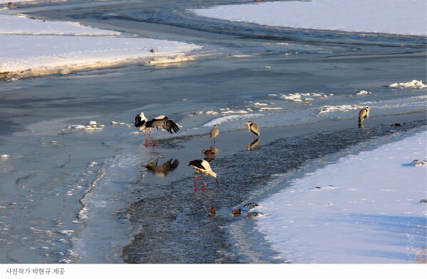 사진=박현규 사진작가