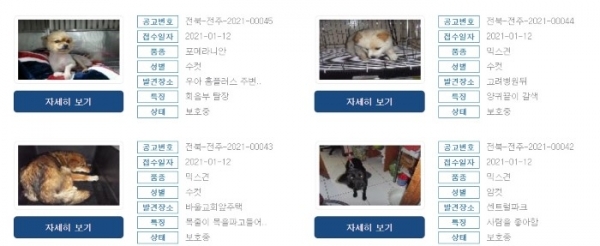 동물보호관리시스템에 등록된 전북지역내 유기동물.