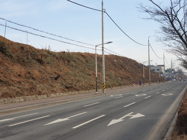 21일 나무와 풀숲이 모두 사라진 채 휑한 황토색 민낯을 드러내며 흉물스럽게 변해버린 서동로변 모습