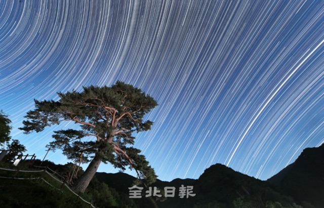 한국관광공사는 지리산 와운마을의 천년송과 임실 덕치면 구담마을을 코로나19 겨울철 비대면 관광지 전국 25선에 선정했다. 지리산 천년을 지켜온 천년송을 밤하늘 별들이 감싸 안고 있다. /오세림 기자