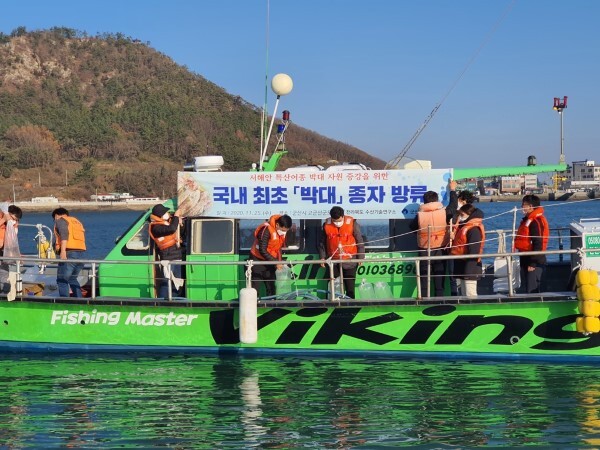 전라북도 수산기술연구소가 지난해 11월 박대 우량종자 8만 마리를 야미도 해상에 방류한 모습.