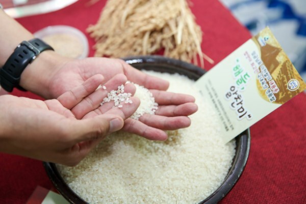 평가단이 지난해 수확한 알찬미의 관능 검사를 하고 있다. /이천시 제공