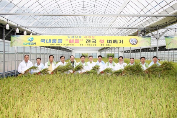 지난해 7월 이천시 호법면 하우스 시범단지에서 해들 품종 벼를 첫 수확하며 풍년을 기원하고 있다. /이천시 제공