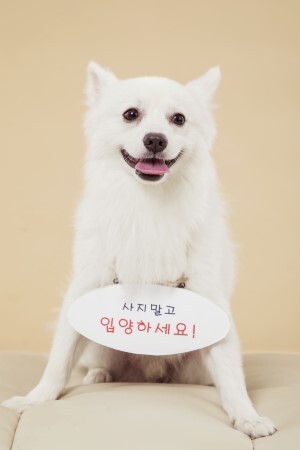 사진=클립아트코리아