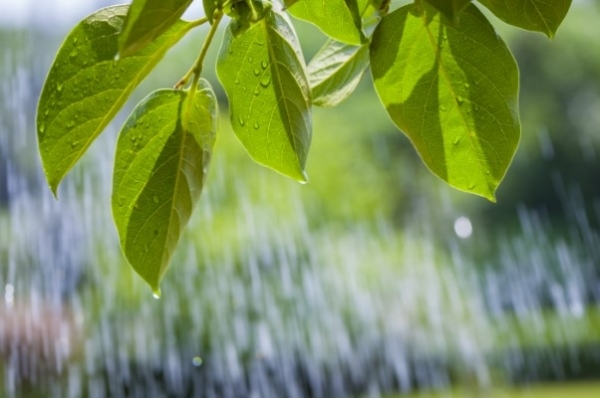 사진=클립아트코리아