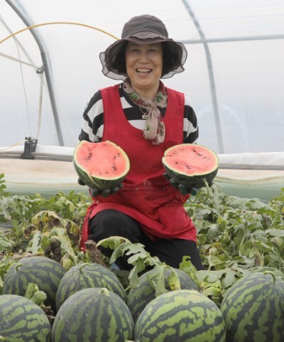 겨울수박을 든 농민이 웃고있다.