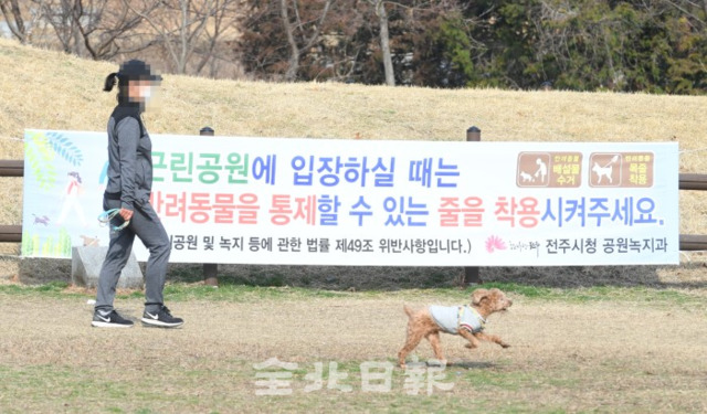 개 물림 사고가 빈번히 일어나면서 견주들의 주의가 요구되고 있지만 11일 여전히 목줄을 하지 않은 채 반려견과 산책에 나서고 있어 계도와 단속이 요구되고 있다. 오세림 기자