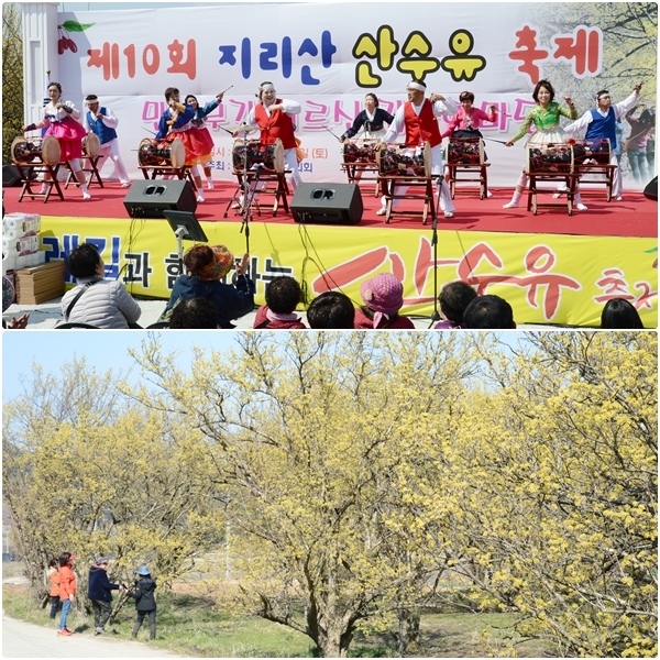 지난 2019년 3월 남원시 주천면 용궁마을에서 열린 제10회 지리산 산수유 축제 당시 모습. /사진제공=남원시