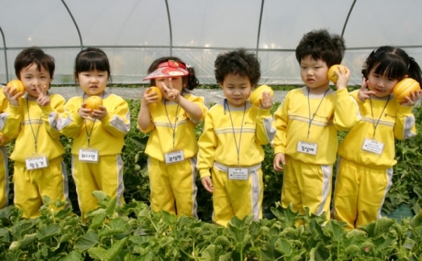 명품 성주참외 100g에는 132㎍의 엽산이 함유돼 있어 엽산제를 대신해 산모와 태아의 건강을 지키는 데 ‘딱’이다.