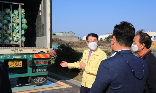 안동우 제주시장(노란색 점퍼)이 러시아로 수출되는 양배추를 살펴보고 있다.