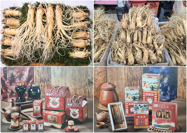 (위) 인삼센터에서 판매중인 수삼 / (아래) 인삼센터에서 판매중인 홍삼제품들