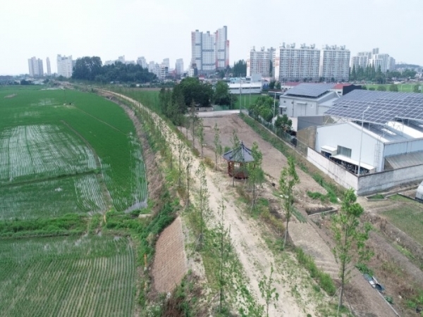 익산 인화공원 메타세쿼이아길 전경