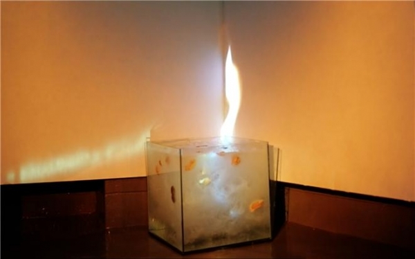 강희원 작가의 '시선'