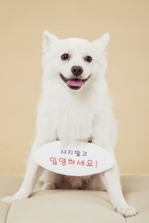 사진=클립아트코리아