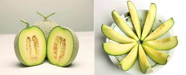 40년 역사를 지닌 곡성 멜론은 후숙하지 않아도 단맛을 오롯이 즐길 수 있는 ‘명품’ 반열에 올랐다. 다음달부터 섬진강변 천혜의 자연과 첨단 재배기법이 키워낸 곡성 멜론이 본격적으로 출하된다.<곡성멜론농촌융복합산업화사업단 제공>