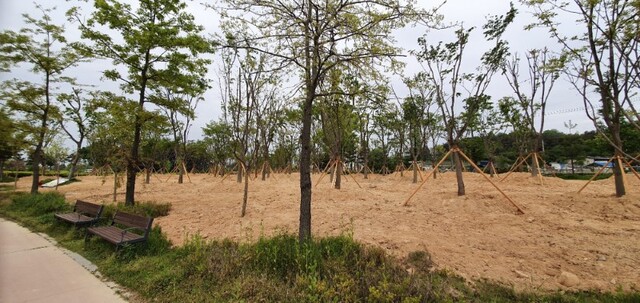 느티나무 시민의 숲이 조성되는 익산 동산동 유천생태습지 모습.