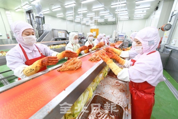 진안 마이산김치 '마이담' 가공공장에서 직원들이 김치를 담가 컨베이어 시스템을 이용해 이동시키고 있다. /오세림 기자