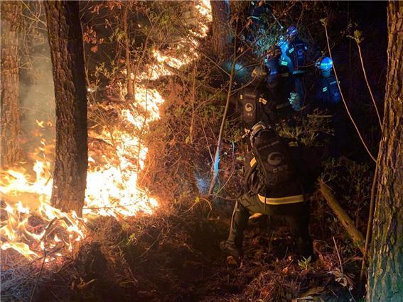 화재 현장 /산림청 제공