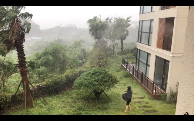 임흥순 감독 '포옹' 스틸컷
